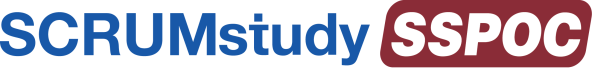 Scaled Product Owner
